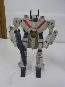 RIMG0091-medium-1.jpg