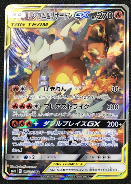 PSA10】リザードン＆テールナーGX SR スペシャルアート SA ポケカ