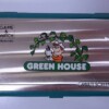 電子ゲームウォッチ グリーンハウス GREEN HOUSE